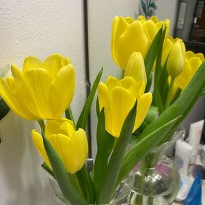 Meet your Posher, Jo